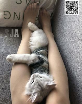 你微笑时很美在线观看免费高清完整版