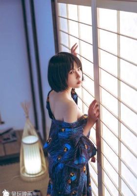 与凤行电视剧免费观看