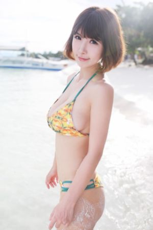 2010灭火英雄成版