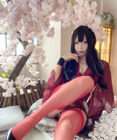 高米迪
