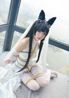 仙武传动漫免费观看全集完整版
